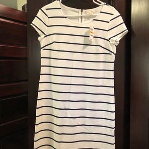 Maison Jules navy blue stripped white dress.